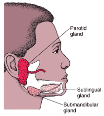 Mumps